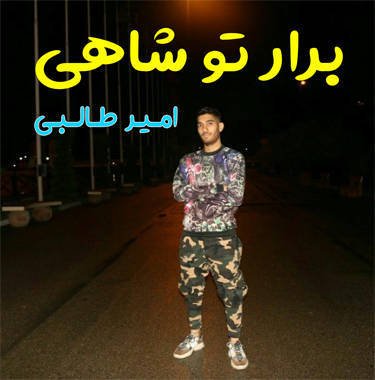 امیر طالبی برار تو شاهی